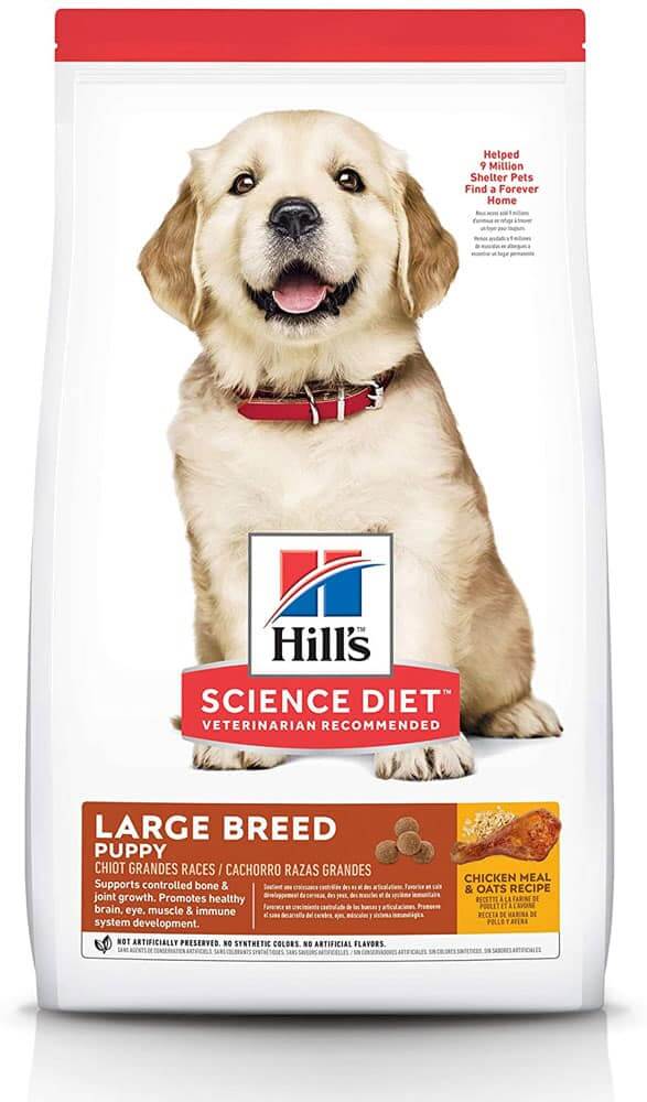 Hill's-Science-Diet-Puppy-Large-Breed-Chicken-Meal-&-Oats-Recipe-Dry-Dog-Food Hill's Science Diet Puppy Large Breed Chicken Meal & Oats Recipe Dry Dog Food