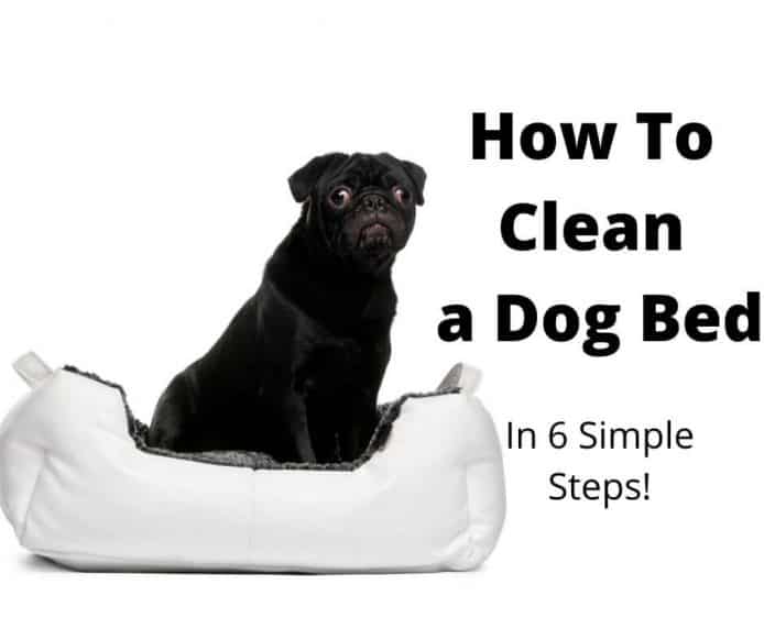 How To Wash A Dog Bed In 6 Simple Steps