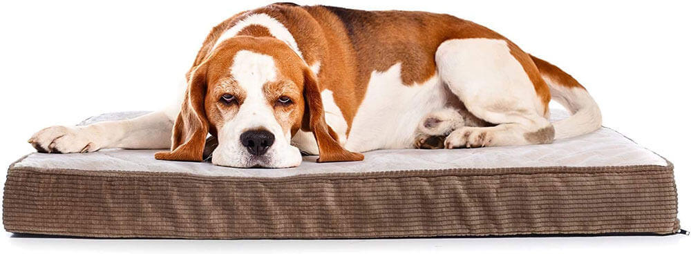 Milliard Quilted Padded Orthopedic Dog Bed