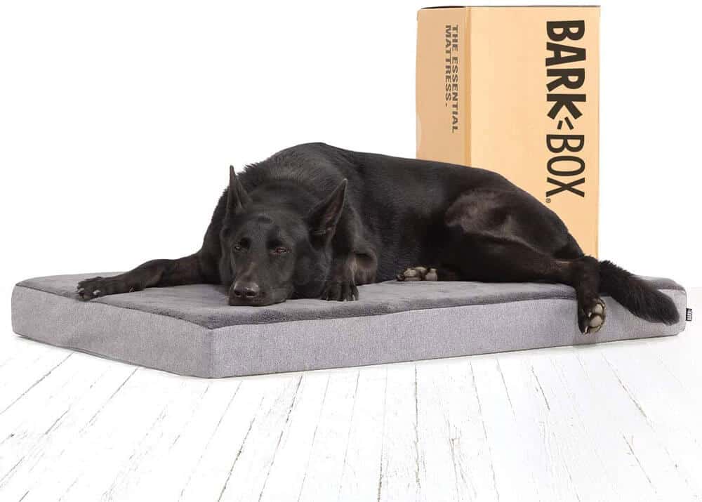 BarkBox Memory Foam Dog Bed