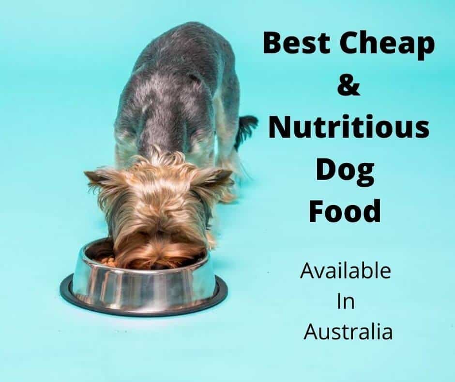 Best Cheap Dog Food Australia