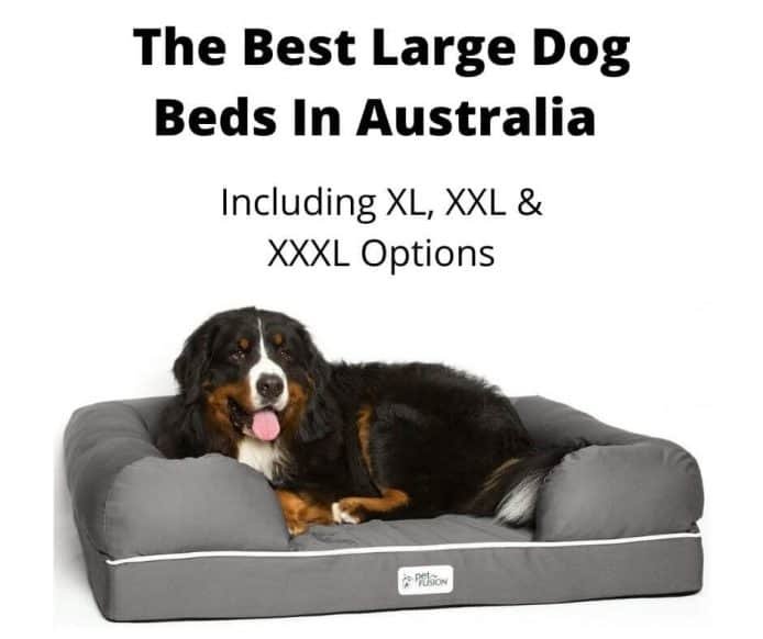 10 Best Large Dog Beds Australia, Sofa Beds For Dog Australia