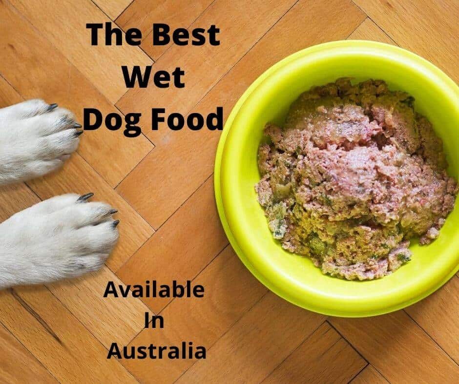 Best rated wet dog food best sale