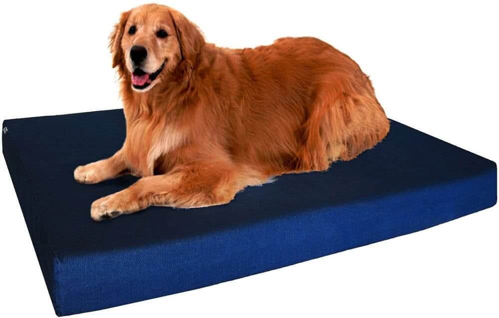 Dogbed4less Extra Large Orthopedic Memory Foam Dog Bed