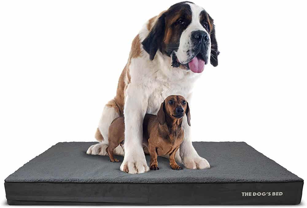 The Dog's Bed Orthopedic Dog Bed XXXL