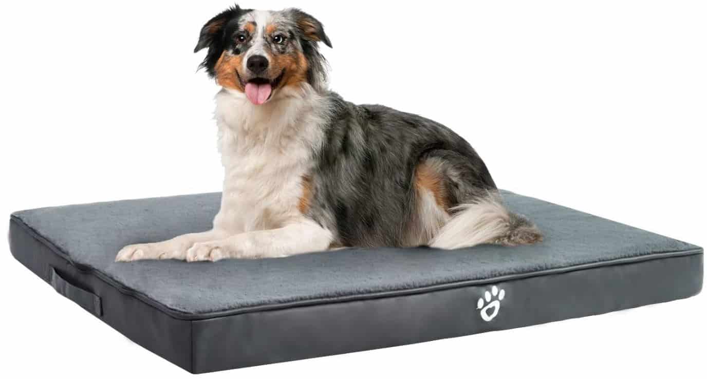 TR pet Dog Bed XXXL