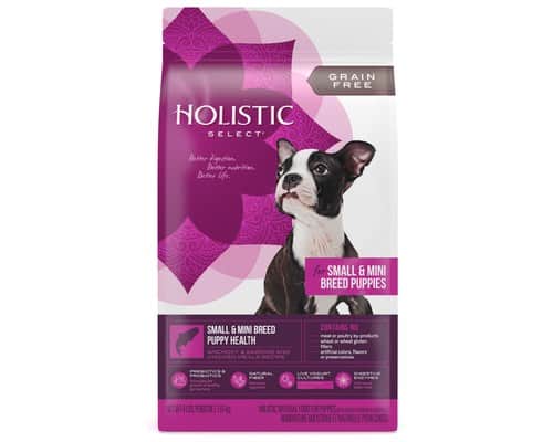 best grain free puppy food 2020