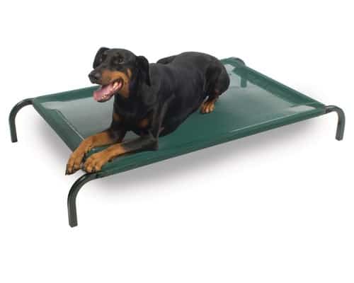 Snooza Flea Free Dog Bed