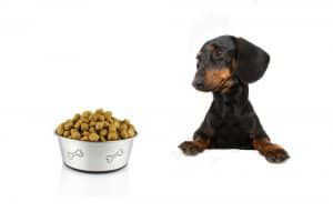 Optimum Dog Food Review (2021 Edition) - gentledogtrainers.com.au