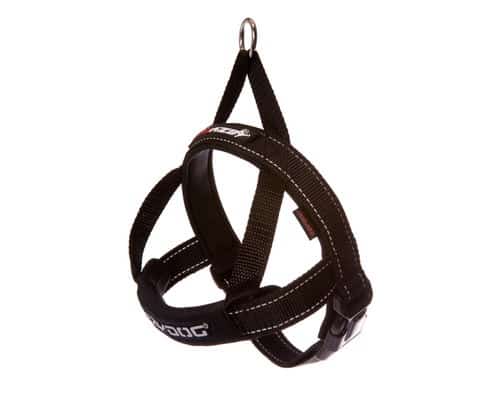 EzyDog Quick Fit Harness
