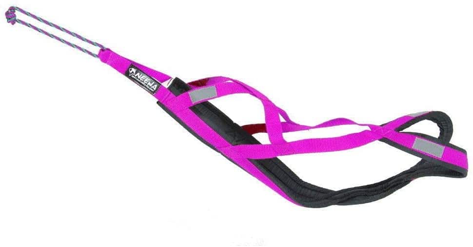 Neewa Sled Pro Harness