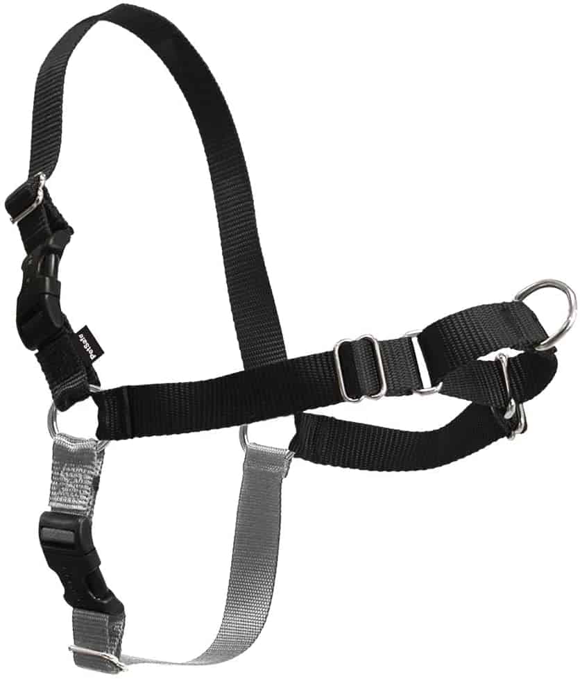 PetSafe Easy Walk Dog Harness