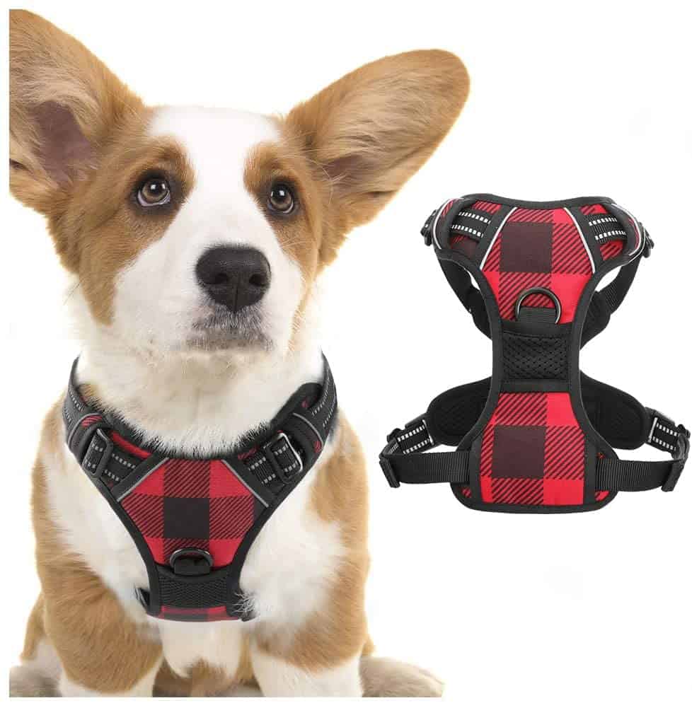 Rabbitgoo Dog Harness No Pull