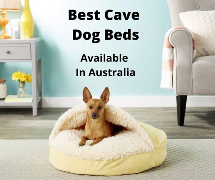 Best Cave Dog Bed (2021 Buyers Guide) - gentledogtrainers ...