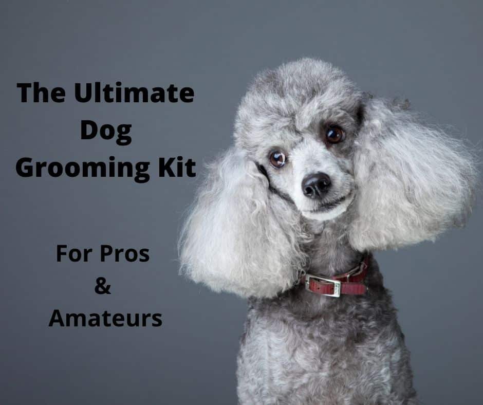 dog grooming kit options