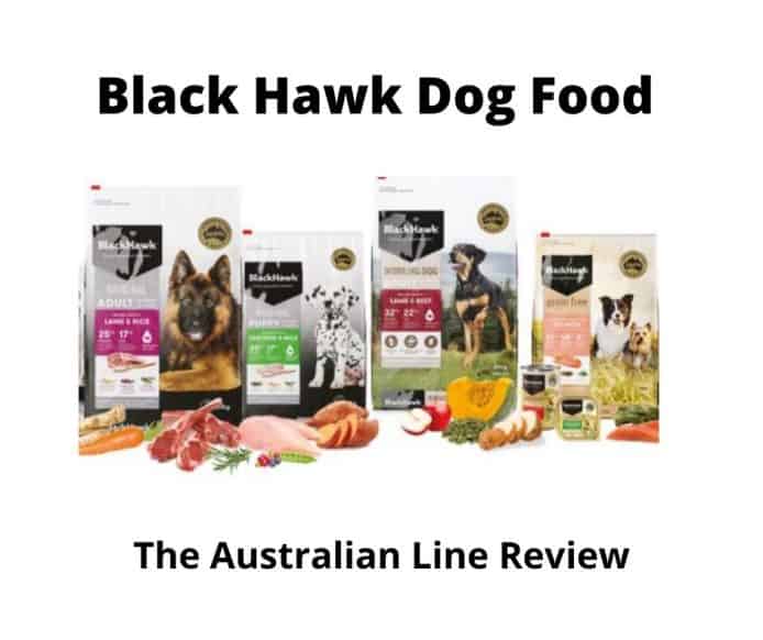 black hawk senior dog food