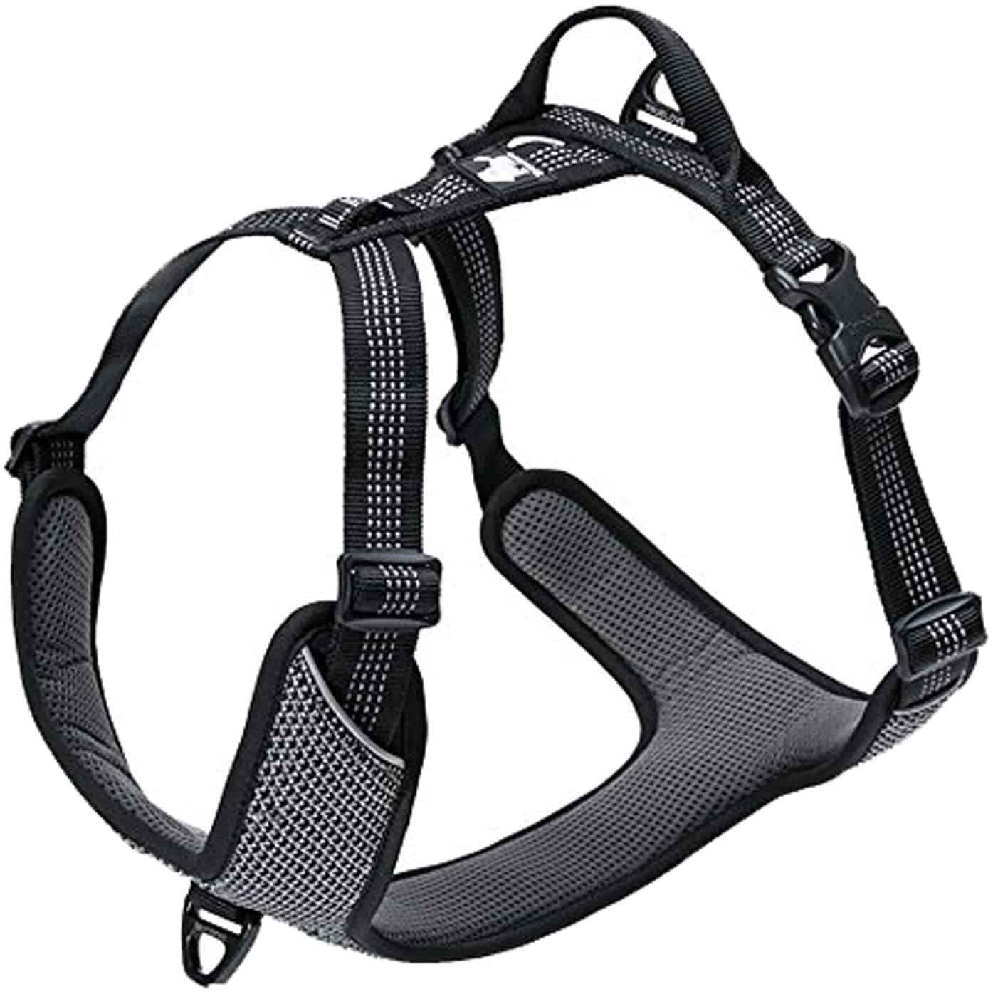 TRUE LOVE Dog Harness