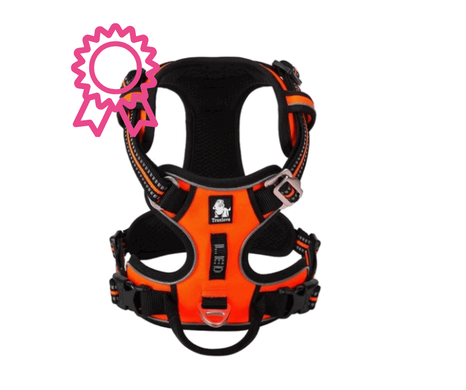 Adventurer No Pull Dog Harness