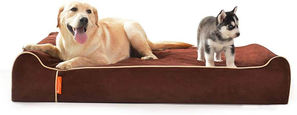 Laifug Orthopedic Memory Foam