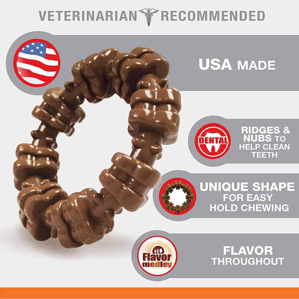 Nylabone Dura Chew Power Chew Textured Ring