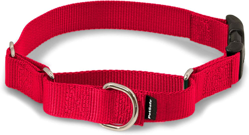 PetSafe Martingale Collar