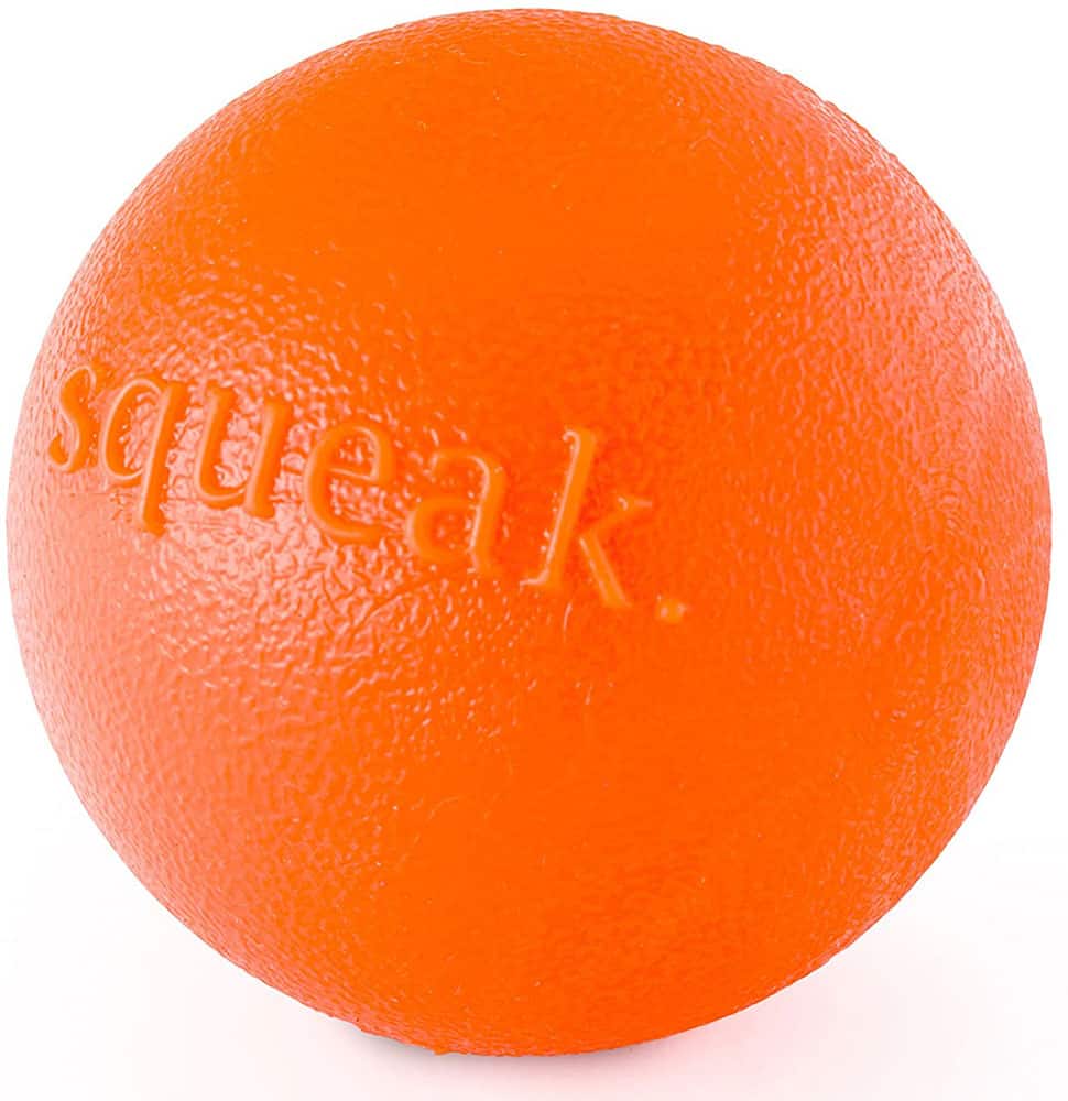 Planet Dog Orbee-Tuff Squeak
