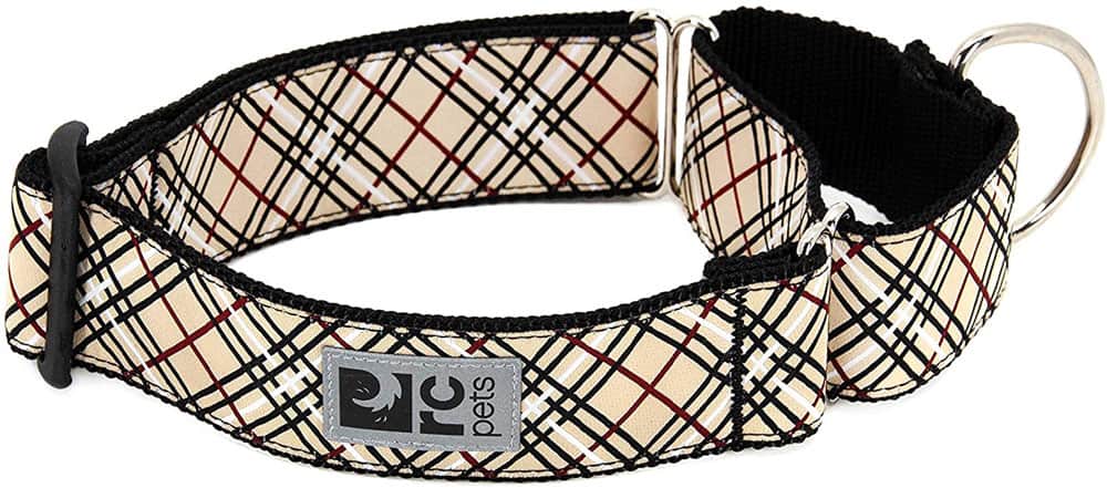 RC Pet Products Martingale Dog Collar