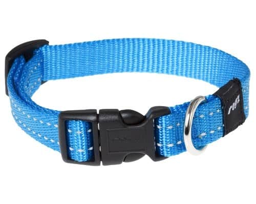 Rogz Snake Collar Turquoise Reflective Rogz Snake Collar Turquoise Reflective