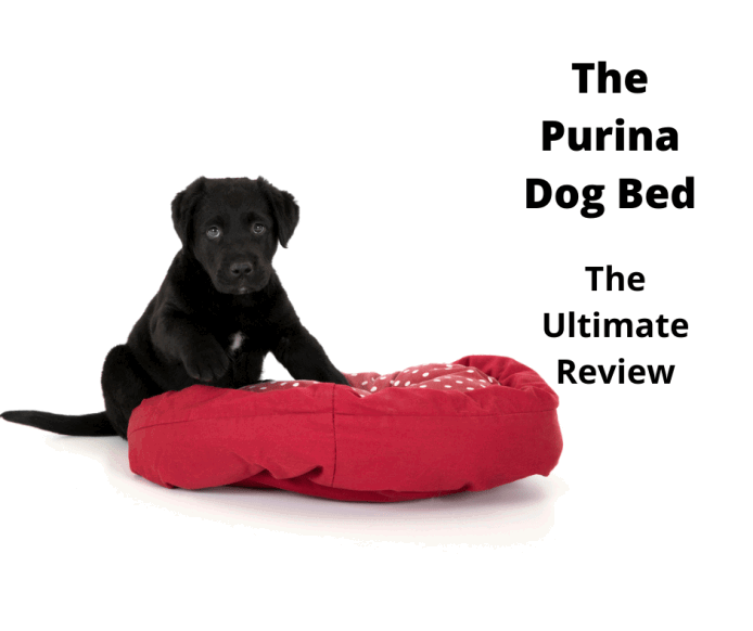 Purina Dog Bed