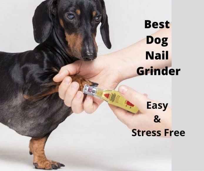 best dog nail trimmer grinder
