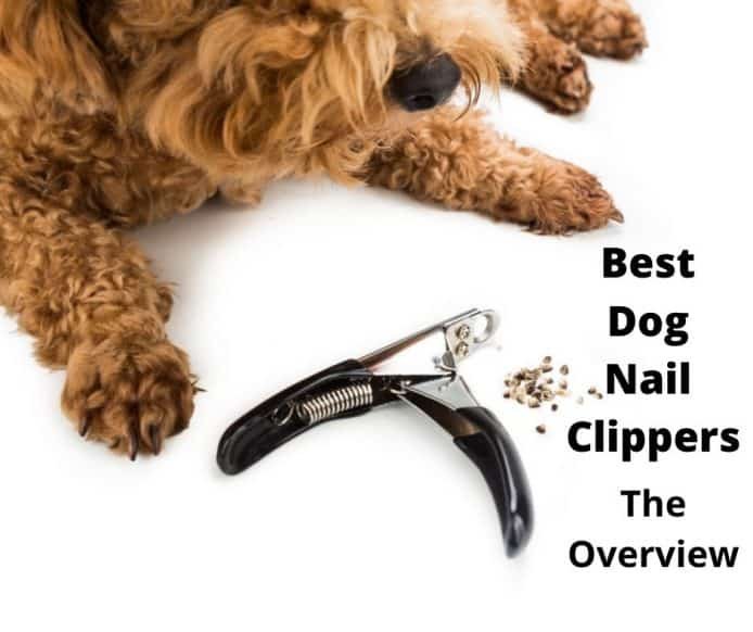 6 Best Dog Nail Clippers Australia (2022 Buyers Guide ...