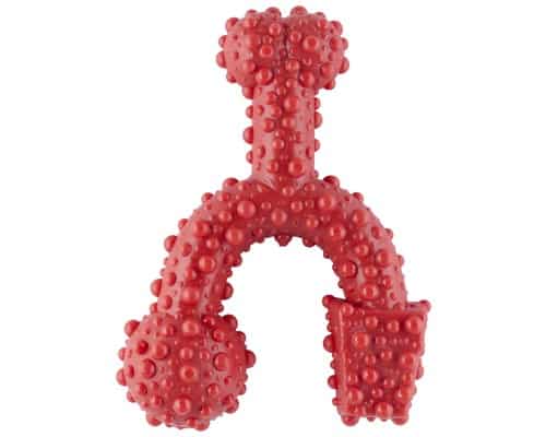 Tasty Bone Nylon Trio