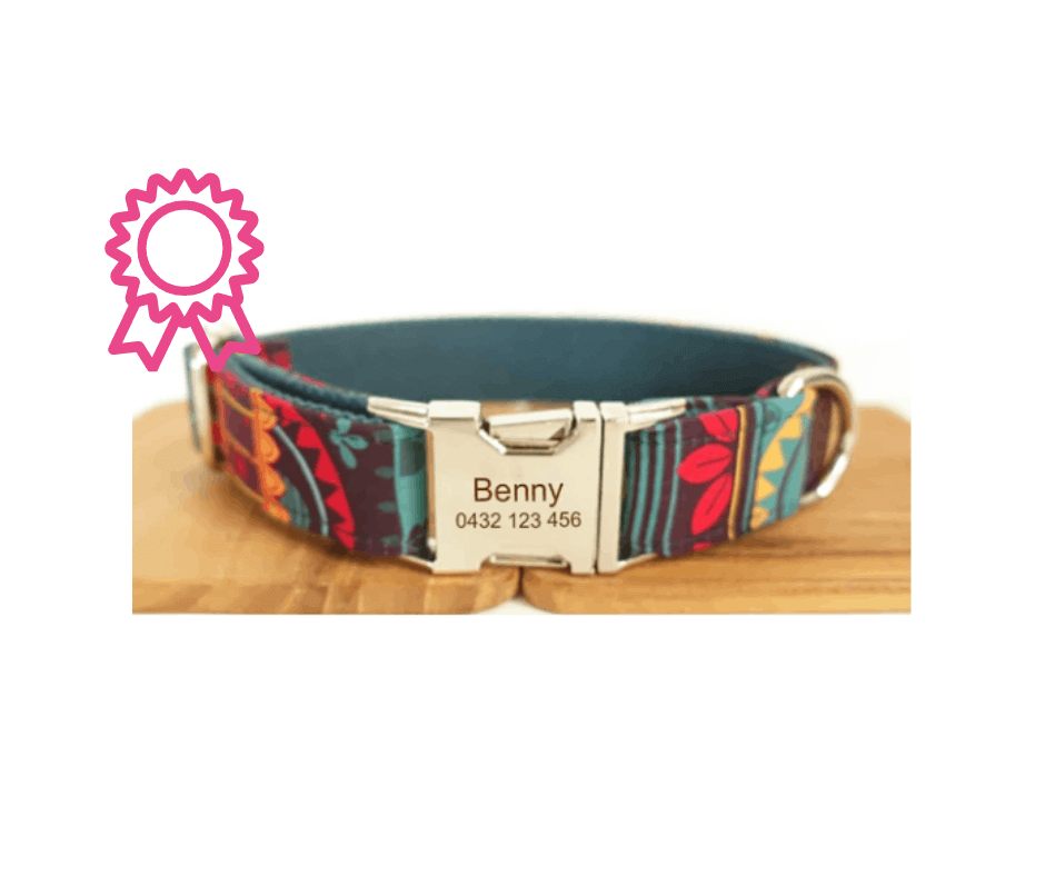 Dog Nation Collar