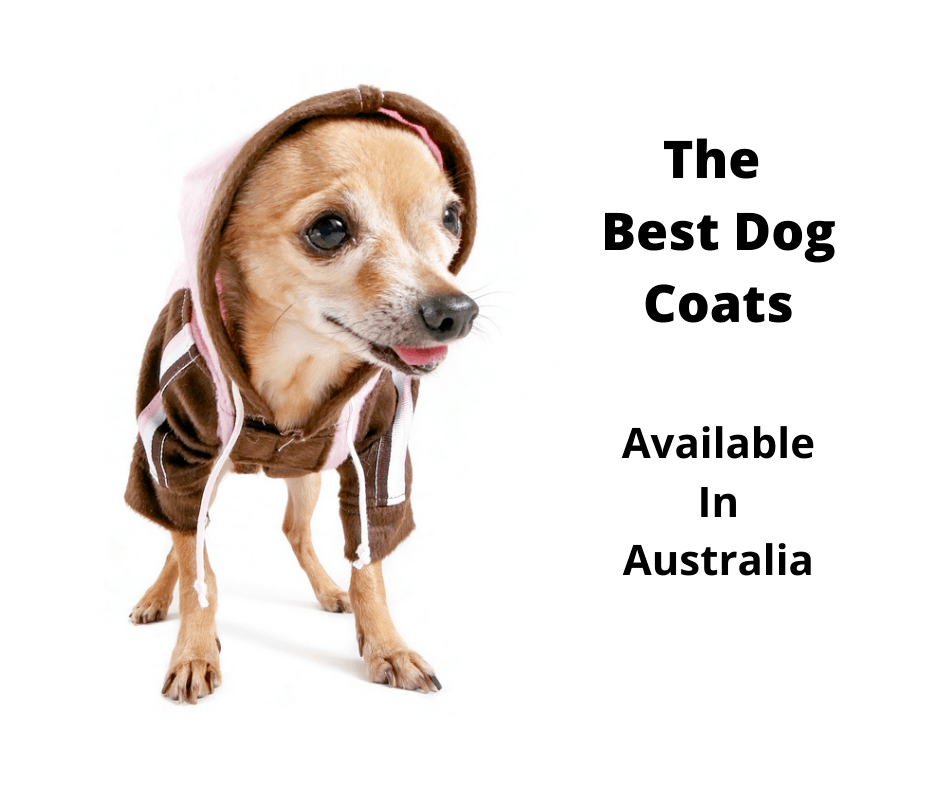 Dog Coats Australia