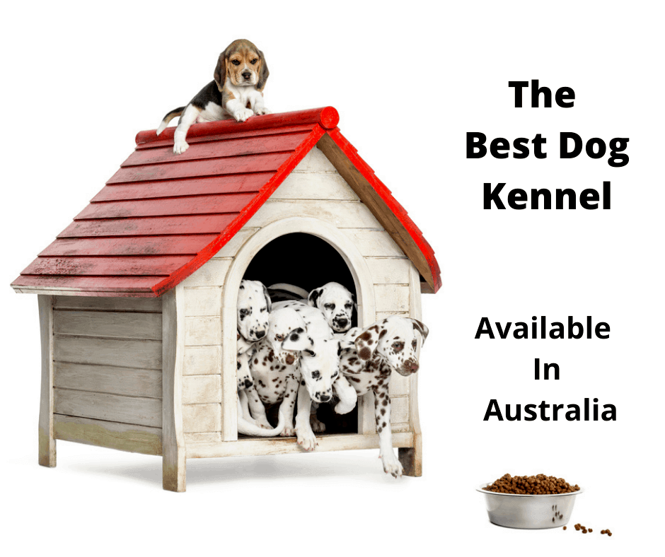 best dog kennel