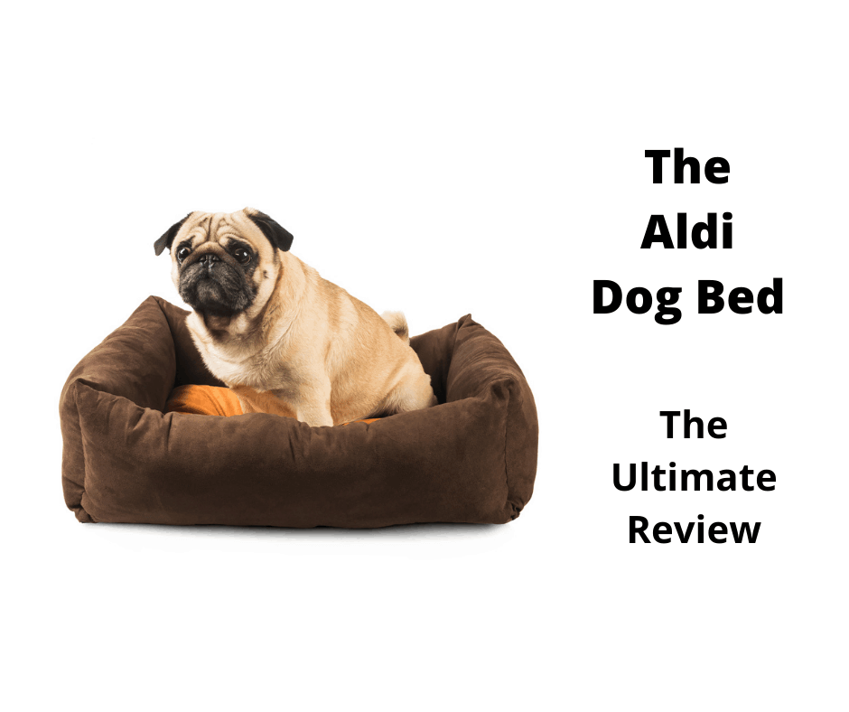 Aldi Dog Bed