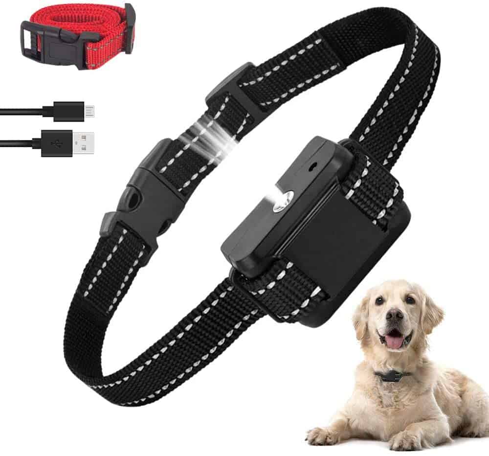 what is the best dog collar to stop barking