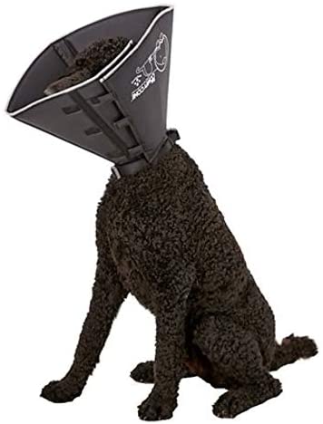 All Four Paws Comfy Cone