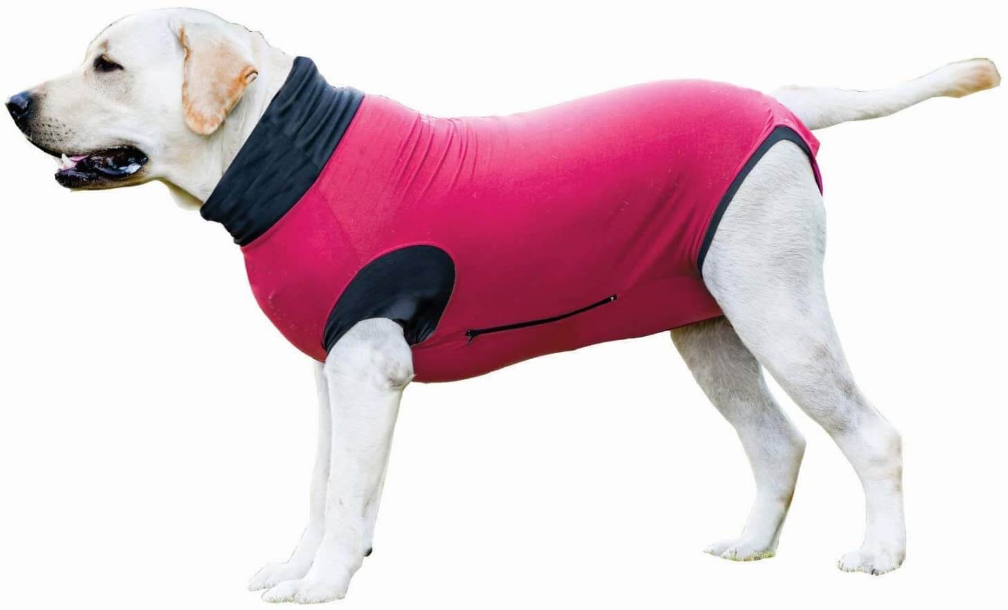 MAXX Dog Recovery Shirt