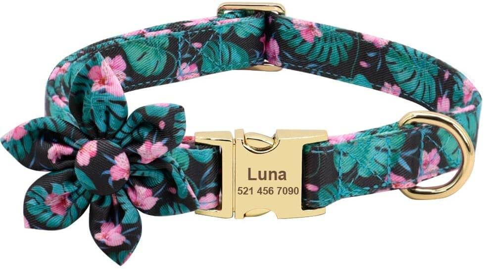 PAWID Flower Custom Dog Collar