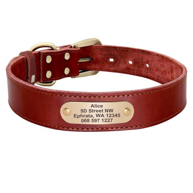 Sirius Genuine Leather Dog Collar Personalised