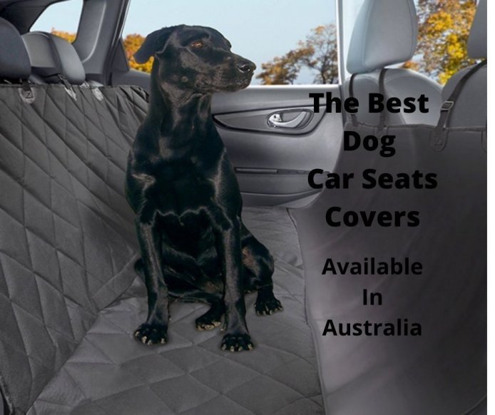 9 Best Dog Car Seat Covers Australia 2022 Ers Guide Gentledogtrainers Com Au - Best Dog Cover Back Seat