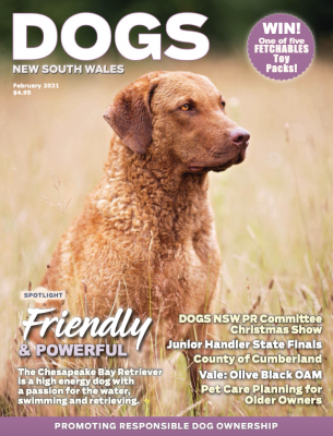 Dogs NSW Magazine