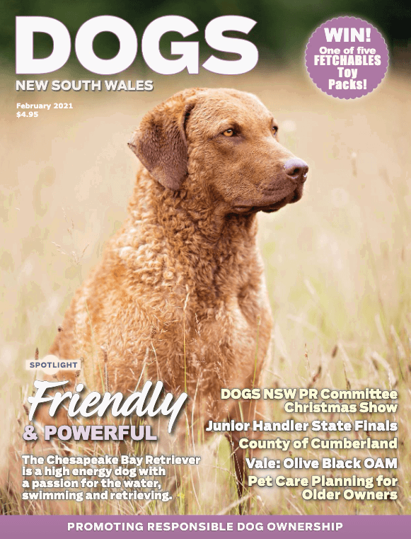 Dogs NSW Magazine