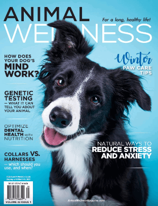 Animal Wellness Magazine