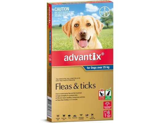 Advantix 6-pack