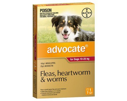 Advocate for Dogs