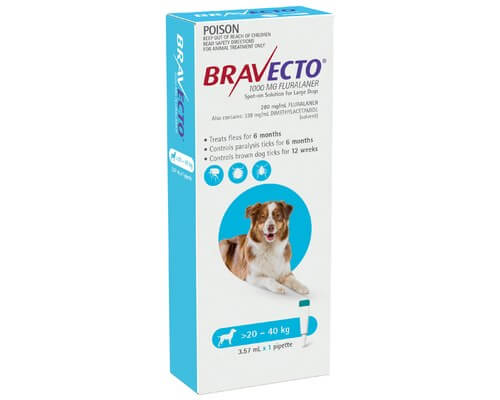 Bravecto Spot-On Treatment