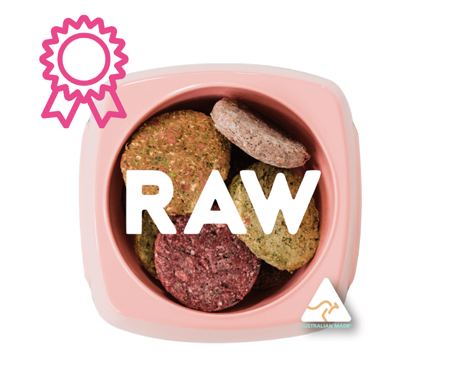 top raw dog food