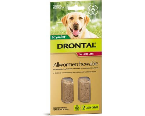 Drontal Allwormer Chewable